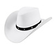 Cowboyhoed Wit Cowboyhoed Wit