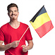 Belgie Zwaaivlag 45cm Belgie Zwaaivlag 45cm