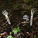 Halloween Skelet Schedel En Armen Halloween Skelet Schedel En Armen