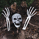 Halloween Skelet Schedel En Armen Halloween Skelet Schedel En Armen