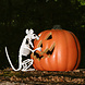 Halloween Rattenskelet 18cm Halloween Rattenskelet 18cm
