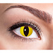 Halloween Weeklenzen Wilde Kat Halloween Weeklenzen Wilde Kat