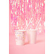 Cheers Bekers 250ml 6st Cheers Bekers 250ml 6st