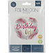Helium Ballon Birthday Girl Veren Leeg 45cm Helium Ballon Birthday Girl Veren Leeg 45cm