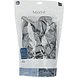 Zilveren Ballonnen Metallic Moondust Silver 33cm 100st Zilveren Ballonnen Metallic Moondust Silver 33cm 100st