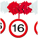 Slinger met Onderhanger 16 Jaar Verkeersbord 4m Slinger met Onderhanger 16 Jaar Verkeersbord 4m