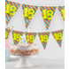 Vlaggenlijn 16 Jaar Gekleurd 10m Vlaggenlijn 16 Jaar Gekleurd 10m