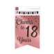 Banner 18 Jaar Roze Zwart 6m Banner 18 Jaar Roze Zwart 6m