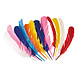 12 veren 7 kleuren 30cm 12 veren 7 kleuren 30cm