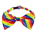 Regenboog Kostuum Set 3 delig Regenboog Kostuum Set 3 delig