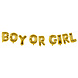 Gender Reveal Letter Ballon Boy Or Girl 4m Gender Reveal Letter Ballon Boy Or Girl 4m