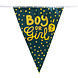 Gender Reveal Slinger Boy Or Girl 6m Gender Reveal Slinger Boy Or Girl 6m