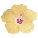 Gele Servetten Bloemen 16,5cm 16st Gele Servetten Bloemen 16,5cm 16st