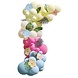 Gekleurde Ballonnenboog Bladeren En Bloemen Gekleurde Ballonnenboog Bladeren En Bloemen