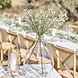 Droogbloemen Gypsophilia Stems 40cm 5st Droogbloemen Gypsophilia Stems 40cm 5st