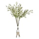 Droogbloemen Gypsophilia Stems 40cm 5st Droogbloemen Gypsophilia Stems 40cm 5st