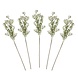 Droogbloemen Gypsophilia Stems 40cm 5st Droogbloemen Gypsophilia Stems 40cm 5st