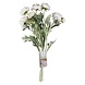 Droogbloemen Rancula Stems 45cm 3st Droogbloemen Rancula Stems 45cm 3st