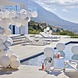 Backdrop White & Silver Balloons With Streamers Backdrop White & Silver Balloons With Streamers