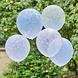 Ballonnen Bloesem 30cm 5st Ballonnen Bloesem 30cm 5st