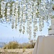 Hangdecoratie Eucalyptus 16st Hangdecoratie Eucalyptus 16st