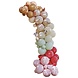 Ballonnenboog Dieren Ballonnenboog Dieren