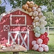 Ballonnenboog Dieren Ballonnenboog Dieren