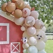 Ballonnenboog Dieren Ballonnenboog Dieren