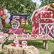 Ballonnenboog Dieren Ballonnenboog Dieren