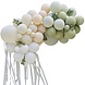 Ballonnenboog Bladeren Ballonnenboog Bladeren
