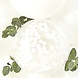 Droogbloemen 35cm 10st Droogbloemen 35cm 10st