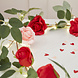 Foliage Garland Rose Garland With String Lights Foliage Garland Rose Garland With String Lights