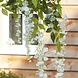 Droogbloemen 1m 4st Droogbloemen 1m 4st