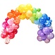 Regenboog Ballonnenboog DIY Set Regenboog Ballonnenboog DIY Set