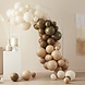 Taupe Bruin Perzik Ballonnenboog Waaiers DIY Set Taupe Bruin Perzik Ballonnenboog Waaiers DIY Set