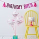 Roze Ballonnen Set Happy Birthday Bitch 2,5m Roze Ballonnen Set Happy Birthday Bitch 2,5m