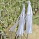 Groene Happy Birthday Slinger Tassels Groene Happy Birthday Slinger Tassels