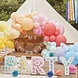 Ballonnen Standaard Party Ballonnen Standaard Party