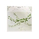 Foliage Vines Foliage Vines