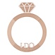 Rose Gouden Photobooth Frame Ring 74cm Rose Gouden Photobooth Frame Ring 74cm
