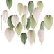 Backdrop Paper Palm Spear Fans Cream & Sage Backdrop Paper Palm Spear Fans Cream & Sage