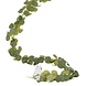 Bloemen Slinger Eucalyptus 2m Bloemen Slinger Eucalyptus 2m