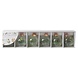Naamkaartjes Houder Eucalyptus 4cm 6st Naamkaartjes Houder Eucalyptus 4cm 6st