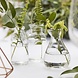 Decorations Glass Bottle Set Decorations Glass Bottle Set