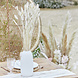 Beige Droogbloemen 65cm 20st Beige Droogbloemen 65cm 20st