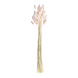 Droogbloemen 65cm 20st Droogbloemen 65cm 20st