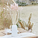 Droogbloemen 65cm 20st Droogbloemen 65cm 20st