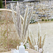 Beige Droogbloemen 90cm 5st Beige Droogbloemen 90cm 5st