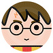Gekleurde Harry Potter Borden 23cm 8st Gekleurde Harry Potter Borden 23cm 8st