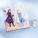 Frozen Canvas Plaster Casting Frozen Canvas Plaster Casting